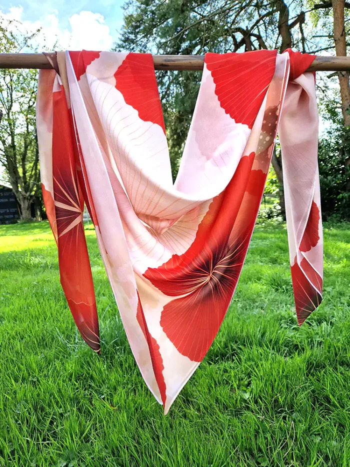 Coquelicots – Image 5